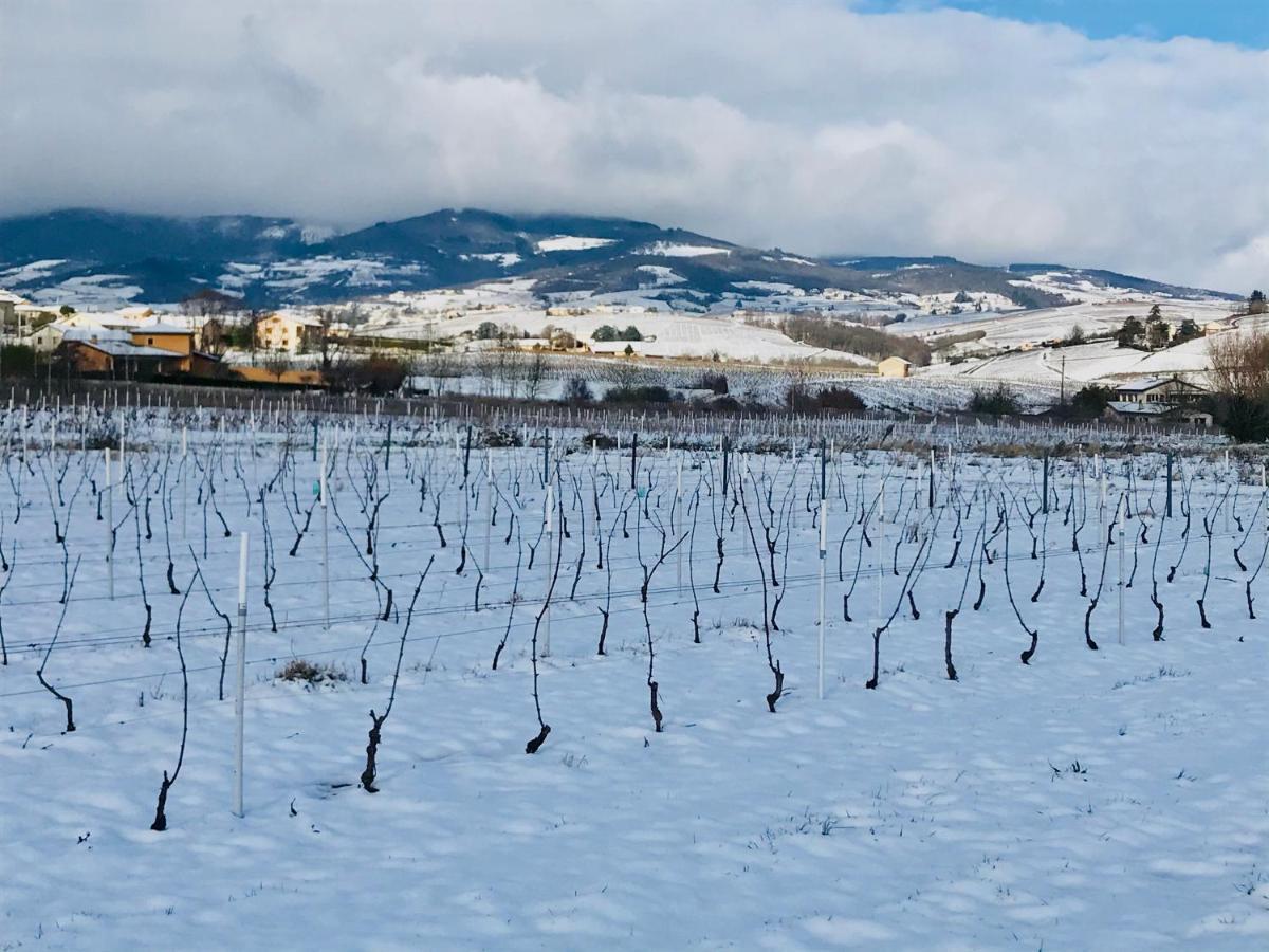 La Boheme, Gite De Charme Quincié-en-Beaujolais Exterior foto